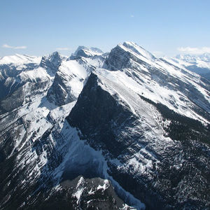 Meet your Posher, Paddy